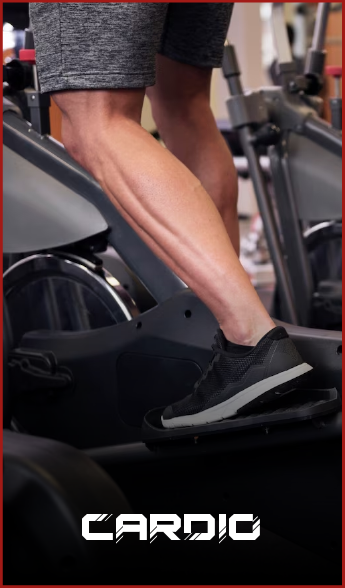 bicicletas, caminadoras, elipticas