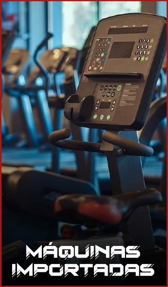 máquinas de gimnasio importadas